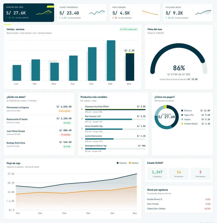 Pro 9's admin panel with charts of sales, collections and documents per company